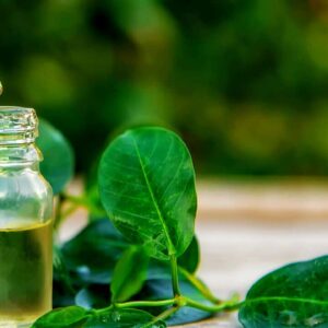 KZ.ULJE TEA TREE 30ml